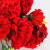 fgf4558df21
