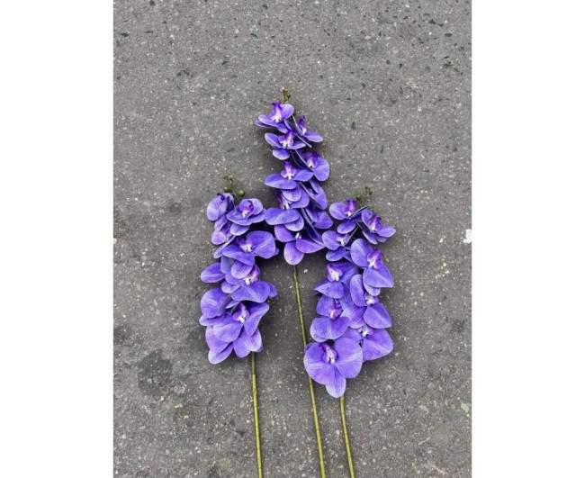 https://catalog-sadovod.ru/images/thumbnails/1565/1280/detailed/4927/87_t