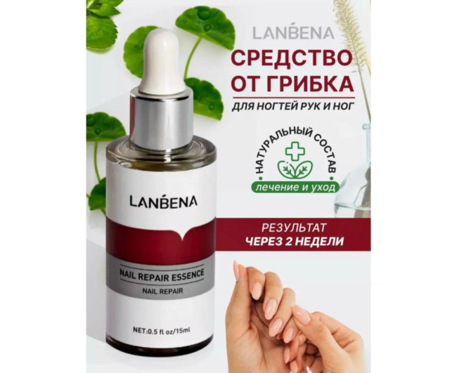 https://catalog-sadovod.ru/images/thumbnails/1734/1418/detailed/4956/133_n