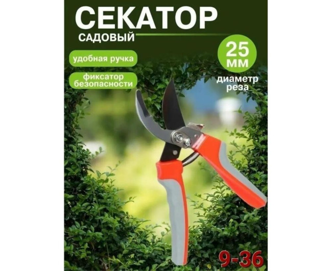 https://catalog-sadovod.ru/images/thumbnails/1043/853/detailed/4938/25_33sc-rl