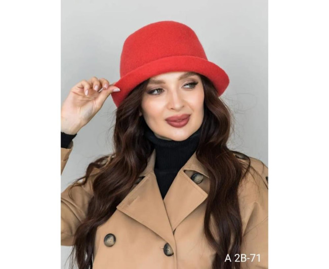 https://catalog-sadovod.ru/images/thumbnails/1565/1280/detailed/4956/496