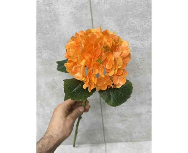 https://catalog-sadovod.ru/images/thumbnails/1565/1280/detailed/4927/68_1w9t-yg