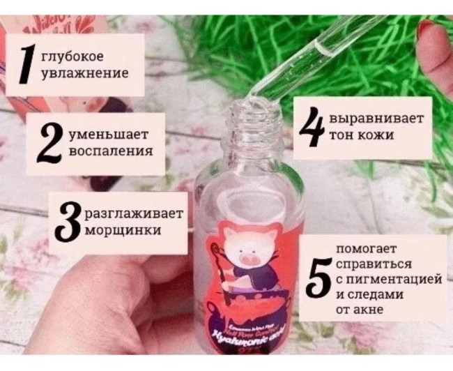 https://catalog-sadovod.ru/images/thumbnails/540/442/detailed/4929/172_s