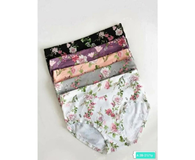 https://catalog-sadovod.ru/images/thumbnails/1034/846/detailed/4938/106_byuo-eh https://catalog-sadovod.ru/images/thumbnails/1034/846/detailed/4938/106_byuo-eh