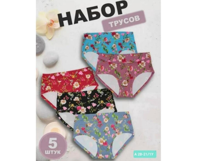 https://catalog-sadovod.ru/images/thumbnails/1009/825/detailed/4938/107_ds34-th