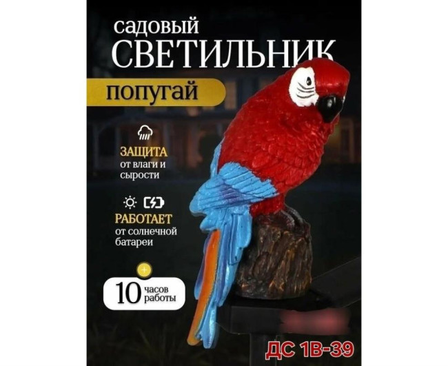 https://catalog-sadovod.ru/images/thumbnails/978/800/detailed/4938/5_4lyl-3t