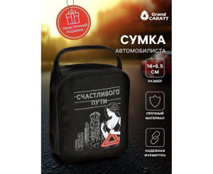 Сумка автомобилиста, код 2542268